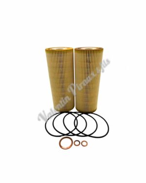 kit de 2 Filtres à huile | Mann