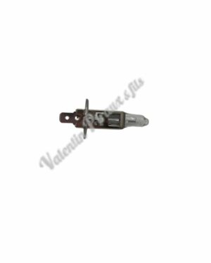Ampoule 12V H1