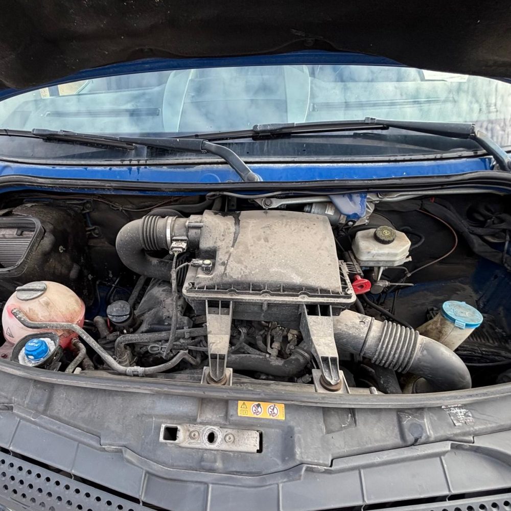 WhatsApp Image 2026-04-01 at 17.16.57